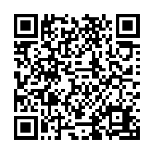 我和唐晓柔两个人在高一教学楼下面坐了好一会儿二维码生成