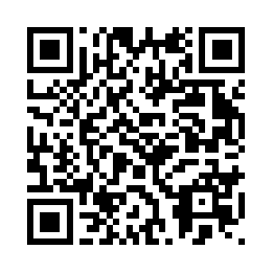 我和安雅琳已经在回大杨的路上了二维码生成