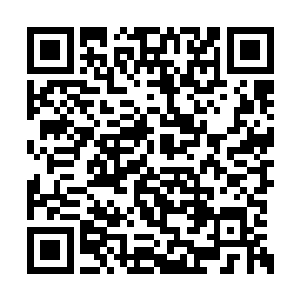 我和宋乙兄弟二人托了关系才被调派在赤精城来二维码生成