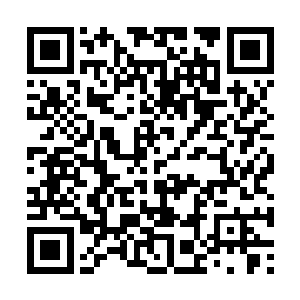 我和宝鸿电子老板季振祥的妻子谢秀瑶见过几次面二维码生成