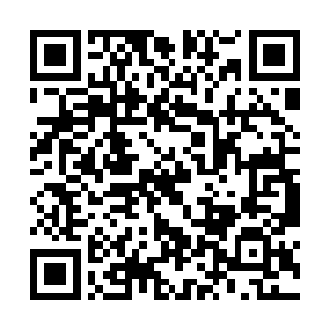 我和小灵一起去探探这个剧本里的最终boss和究极宝物二维码生成