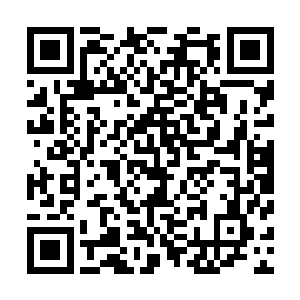 我和徐韶带着徐韶在东坪的几个手下先出现在了旱冰场那里二维码生成