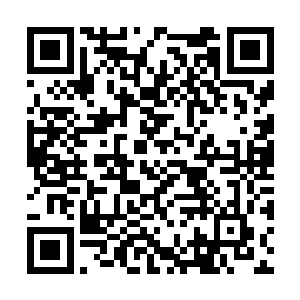 我和我朋友都已经看到他在这里待了好几个礼拜了二维码生成
