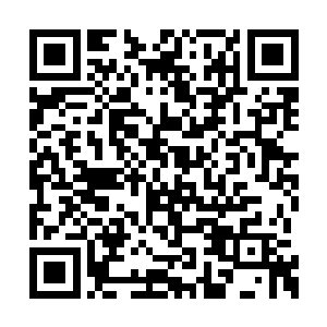 我和植淳的投资公司没有那么雄厚的资本玩宇航二维码生成