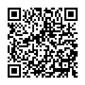 我和母亲便是处处仰嫡母长姐鼻息而谨小慎微地生活着二维码生成