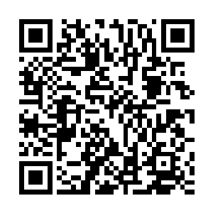 我和汪逹朋把车停到距离骨器店还有段距离的一个便利店门口二维码生成