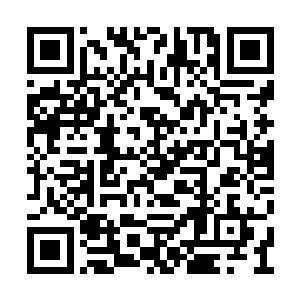 我和澹台璃以及谢一鸣都没有遇到任何的人鬼妖二维码生成