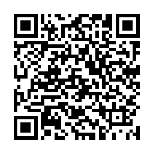 我和澹台璃在这里并没有见到汪逹朋和汪大锤以及杰西二维码生成