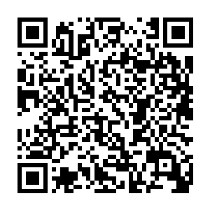 我和老杜去年到京里参加四中全会时部里边领导就和我们交换过意见二维码生成