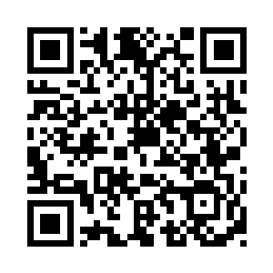 我和苏念白成了绑在一条树叉子上的蚂蚱二维码生成