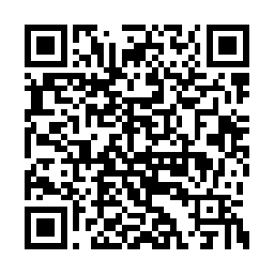 我和谢一鸣一趟趟往返于单排微卡和老水井之间二维码生成