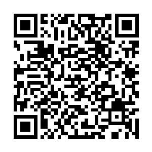 我和辽海侯雷成虎已经拟定了一个万无一失的计划二维码生成