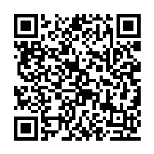 我和进哥此番可是费了不少功夫才把你救了出来二维码生成