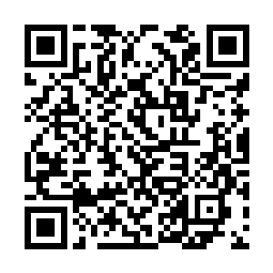 我和邸坤成前段时间被梁省长叫到省里去汇报工作二维码生成