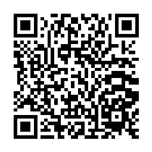 我哈利多家族的老家主如今已经是六转大地圣师巅峰的存在了二维码生成