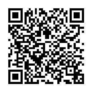 我哪里知道我的九阶妖丹是十分纯净的九阶巅峰妖峰啊二维码生成
