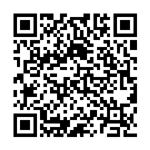 我嘴一张腹部恐怖的吸力传出直接把那十几只鬼魂吸摄而来二维码生成