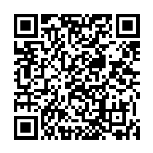 我四宗还有七个人以及你们太行宗的沈凡和古言尚未出来二维码生成