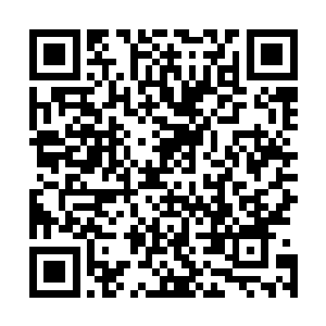 我回去之后就弄只猫啊狗啊的试试看我有没有驭兽师的本领二维码生成