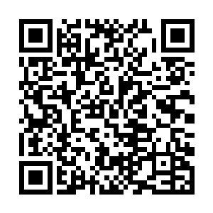 我回顾了之前问起郑晓和晏浩云时候对方犹豫的表情二维码生成