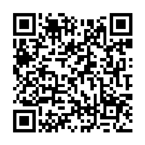 我在之前的初试和遴选里杀了世龙家族那么多族人二维码生成