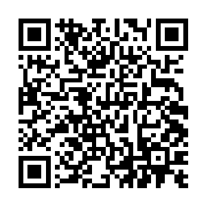 我在你的印象里难道还是那个只会唠叨和调皮的小屁孩吗二维码生成