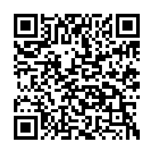 我在你身上看到了一些自然古神的气息……当然二维码生成