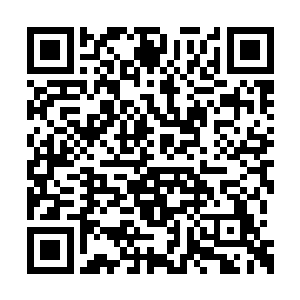 我在你身上看到了虚拟神格……不过是最低级的二维码生成