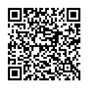 我在公路边看到了那座隐于一片树林中的的山庄了二维码生成