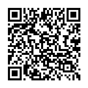 我在前面演的时候你们应该要在后台准备才对吧二维码生成