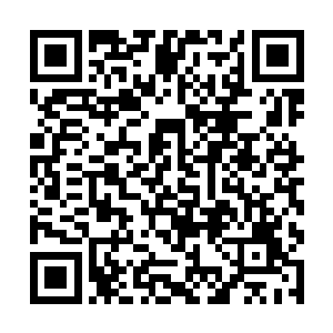 我在回老家之前打电话告诉他我们要把父亲带回老家二维码生成