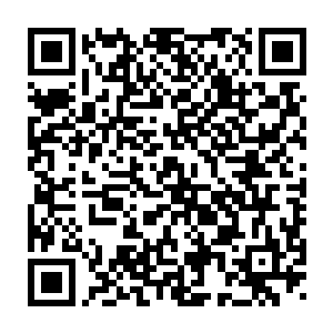 我在岭南省计委的同学也帮我收集了一些有关方面的资料寄给了我二维码生成