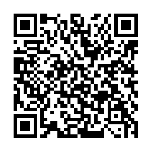 我在沙阿情报局查阅一些机密文件的时候被人发现了二维码生成