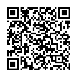 我在牧羊人官网好不容易做完任务获得了三个抽奖机会二维码生成