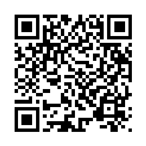 我在芝加哥还会继续待上一段时候二维码生成