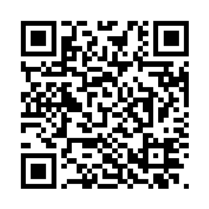 我在车上听到不少人说起豺狼座之战二维码生成