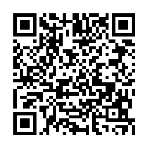 我在还未完全成熟的时候遇到了一枚熟女孙默默二维码生成