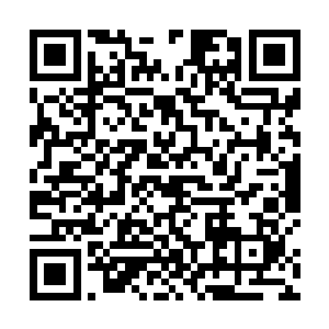 我在这其中是做了些小动作让你更加看清骆逸飞的为人二维码生成