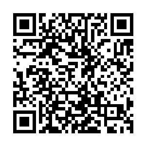 我在野狼山谷与新月草原的交界处见过你们学校的四个试炼生二维码生成