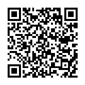 我在青山城要比被困在平北城里对儿子们更有利二维码生成