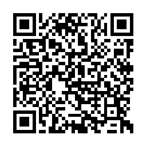 我在风云周刊实习完三个月就只能收拾东西滚蛋二维码生成