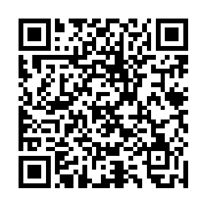 我坐在桌子上痴痴地望着他和几个人从我的不远处经过二维码生成