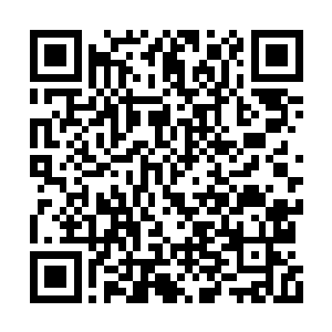 我外公的父亲和晶姐的爷爷的父亲是堂兄弟关系二维码生成