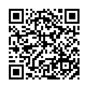 我大伯家的二姐文红已经嫁人了就不提了二维码生成