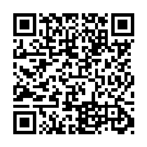 我大力弟弟不是那样的人――要不咱俩去哪走走二维码生成