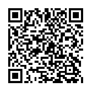 我大哥被找到的时候脸上都是被树枝划破的伤口二维码生成