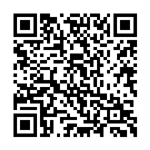 我大拇指在她胸口中央的位置由上向下这么一捋二维码生成