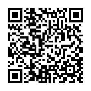 我大概知道对方是怎么将你们南天一族的人给抓走的了……二维码生成