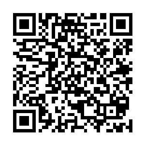 我大风堡堡主虽然平时看上去只是个第二境界后期修真者二维码生成