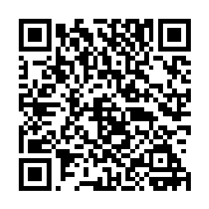 我夫人也已经在办了昨天夜里连夜飞去东山省联系相关设备二维码生成